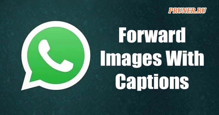 Как пересылать изображения с подписями в WhatsApp
