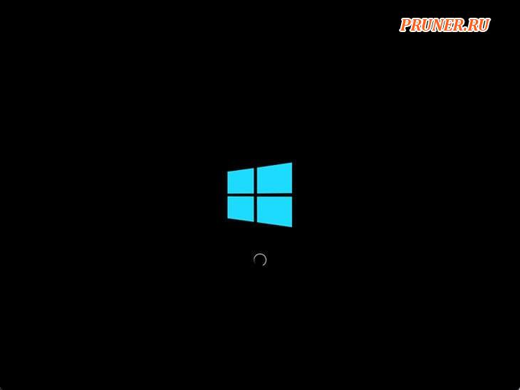 Windows 11 ubuntu cinnamon загружается