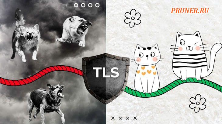 Что такое протокол TLS, как он работает и от чего защищает