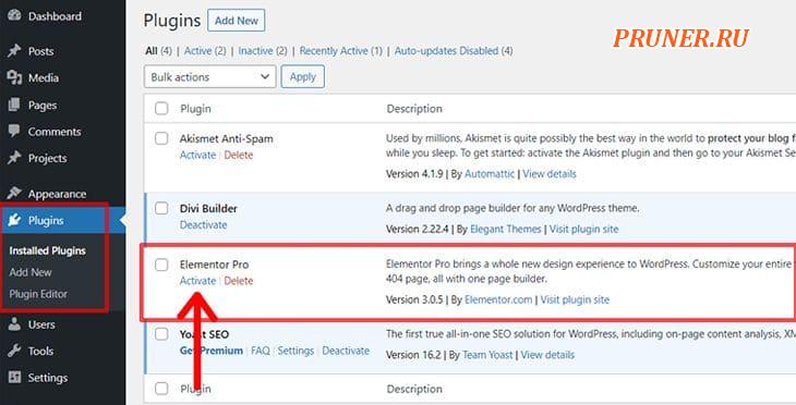 Активировать плагин Elementor Pro