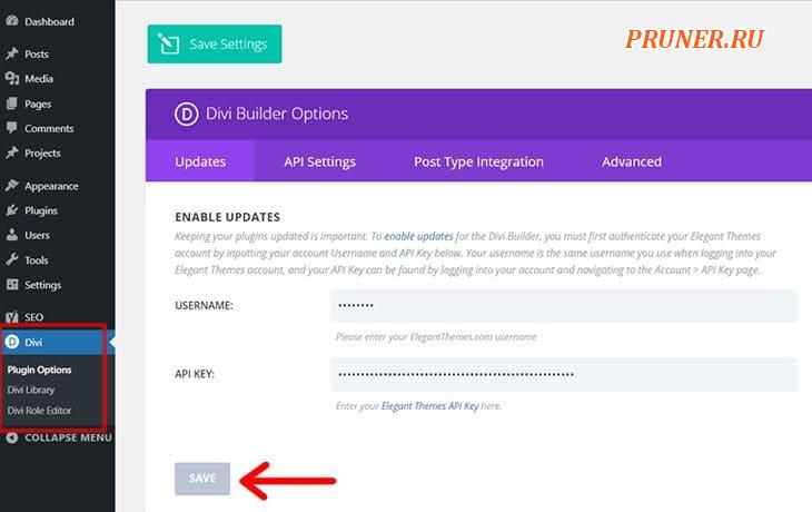 Параметры Divi Builder для аутентификации вашей учетной записи