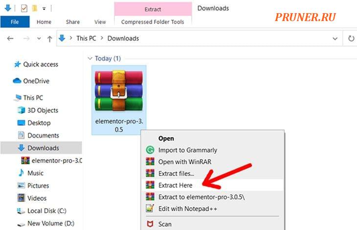Извлечь архивный файл плагина WordPress (пример — Elementor Pro)