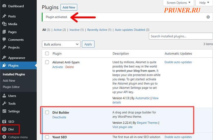 Активирован плагин WordPress (Divi Builder)